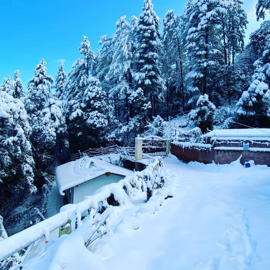 Shivaya Since 1953 Hotel Mukteshwar Ngoại thất bức ảnh